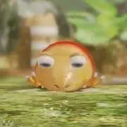 さましーの画像