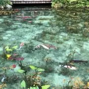 おぼおぼ(プロフ必読)の画像