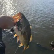 釣り野郎yasu