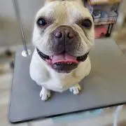 マユミの画像