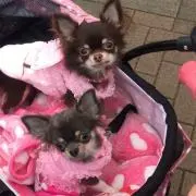 ひとみん