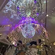 pepepopo2525の画像
