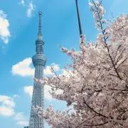 romi.の画像