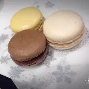 Ayaの画像