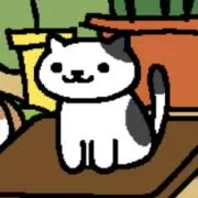 にゃんころの画像