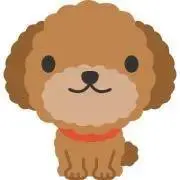 RENNの画像
