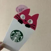 ぽこぽこぽんたの画像