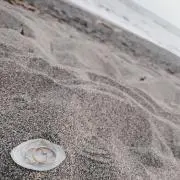 rikeの画像