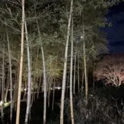 yutooの画像