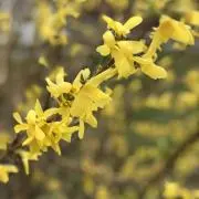 フォロ割あり✨即購入無言OK✨Machi