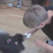 RYO