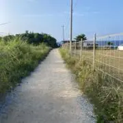 ハロハロの画像