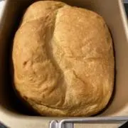 ayaの画像