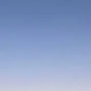 sakuraの画像