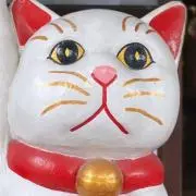 takata
