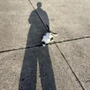 MYの画像