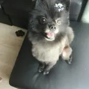 ♪*みこ*♪