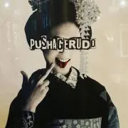 にっちょの画像