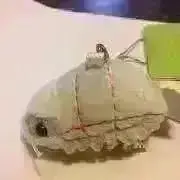 もにっちの画像