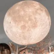 けちょんけちょん