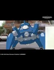 タイマイ
