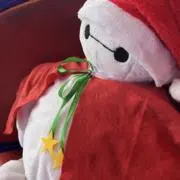 望月| 24時間以内発送の画像