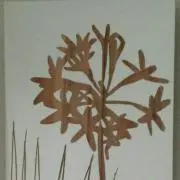 ☆キラキラ☆人生50年大清算中～♪