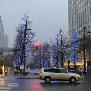 しんの画像