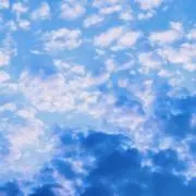 弥生の画像