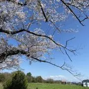 nonの画像