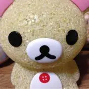 ぴの画像