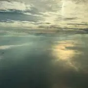 NAO