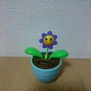 BENIの画像