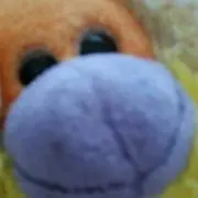 えだじゅん【毎日発送！】の画像