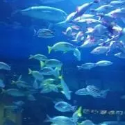 yhyhの画像