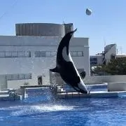 ミニマリストになりたい