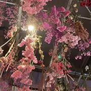 なかまの画像