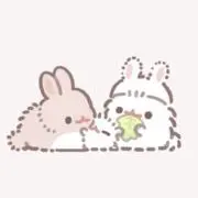 うさの画像