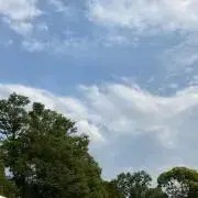 Neの画像