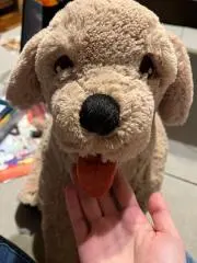 takiko