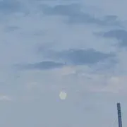 reniの画像