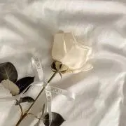 ポン　　即発送⭕️まとめ依頼⭕️