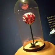 R★の画像