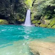 りんの画像