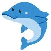イルカの画像