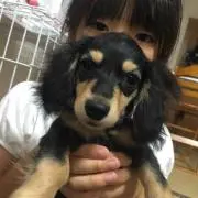 カンパニーシンゴ