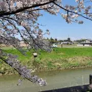 ひろの画像
