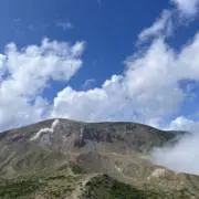 ささしの画像