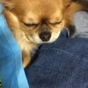 ＣoＣo &Ｓora