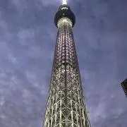 yksの画像